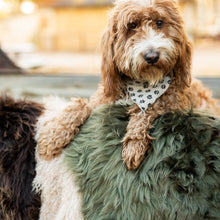 Harmony Green Sheepskin