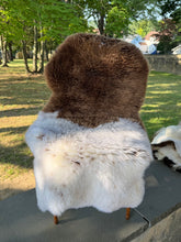 Cafe Latte Sheepskin
