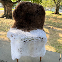 Cafe Latte Sheepskin