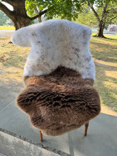 Cafe Latte Sheepskin