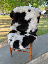 Yin Yang Sheepskin
