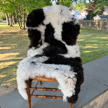 Yin Yang Sheepskin