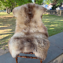 Foxy Blonde Sheepskin
