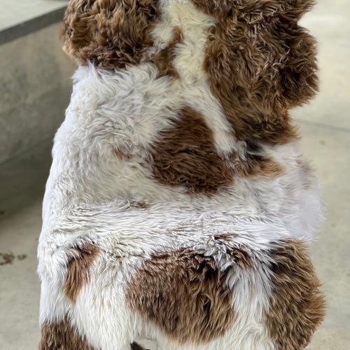 Bliss Beauty Sheepskin