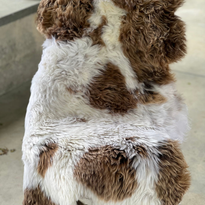 Bliss Beauty Sheepskin
