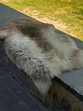 Crown Chakra Sheepskin