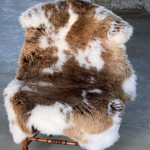 Spotted Beauty Sheepskin