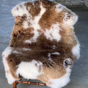 Spotted Beauty Sheepskin