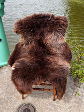 Meditation Trail Sheepskin