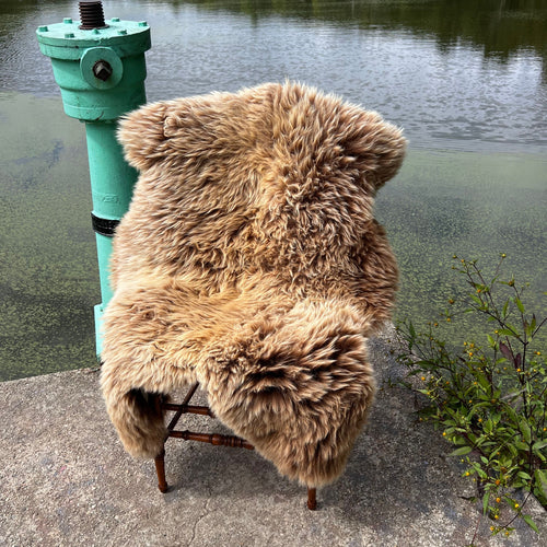 Harvest Beauty Sheepskin