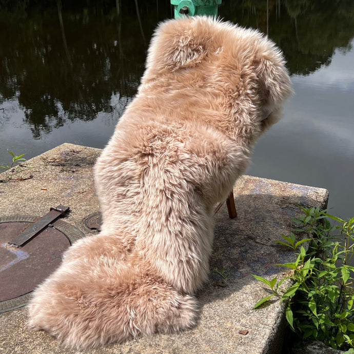 Golden Glam Sheepskin