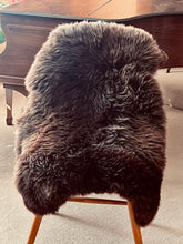Brownie Bear Sheepskin