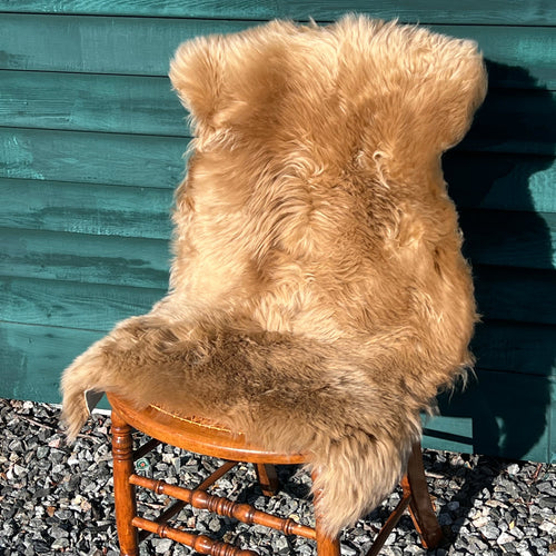 Desert Warmth Sheepskin