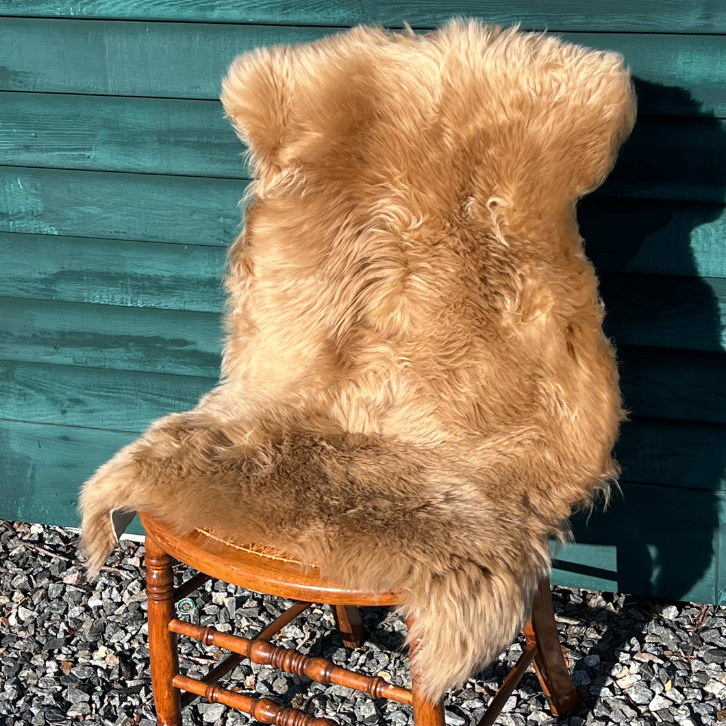 Desert Warmth Sheepskin