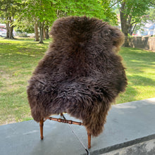 Wild and Wooly Sheepskin