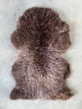 Wild and Wooly Sheepskin