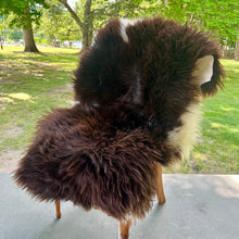 Earth Wings Sheepskin