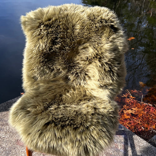 Unikite Jasper Sheepskin