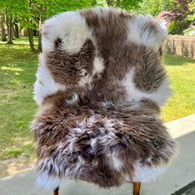 Rama Rishi Sheepskin