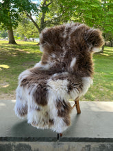 Rama Rishi Sheepskin