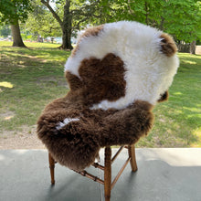 Brahma Beauty Sheepskin