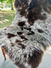 Stoney Fields Sheepskin