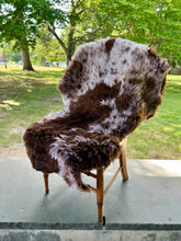 Dalmatian Jasper Sheepskin