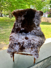 Dalmatian Jasper Sheepskin
