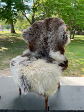 Meadowbrook Sheepskin