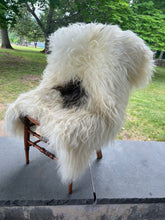 Bear Hug Sheepskin