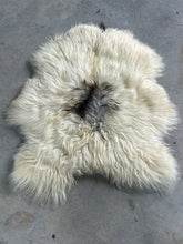 Bear Hug Sheepskin