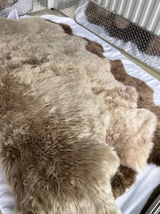 Brown Bear Sheepskin Rug