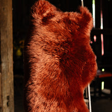 Grounding Orange Sheepskin