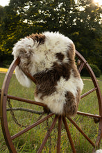 Bliss Brahma Sheepskin