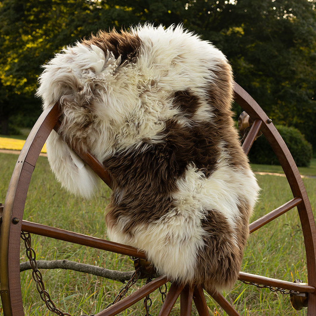 Bliss Brahma Sheepskin