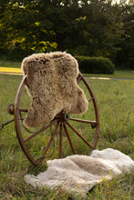 Dove Sheepskin Rug